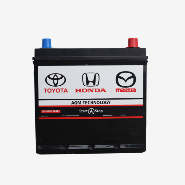 Platinum AGM 42-650 Battery