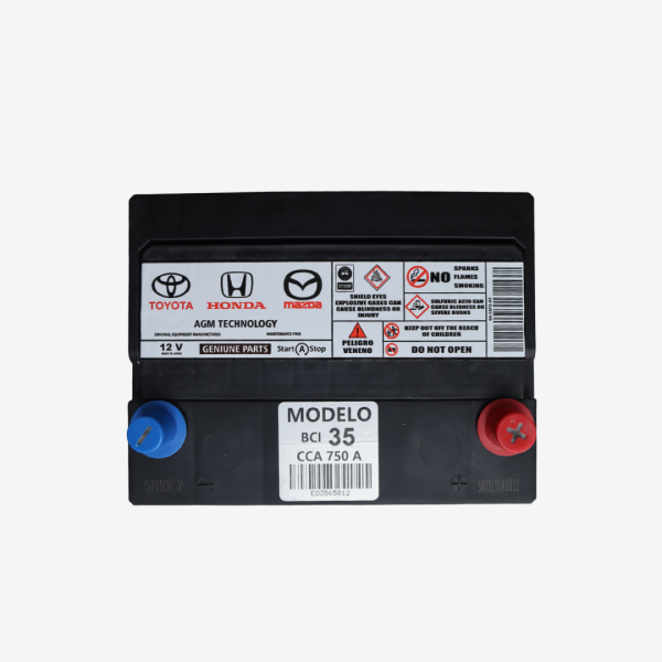 Platinum AGM 42-650 Battery